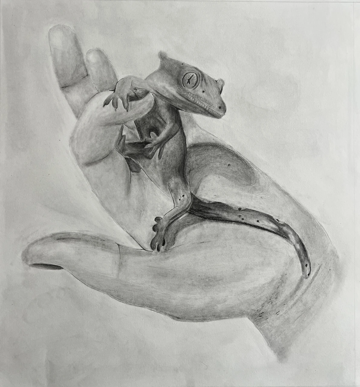 Lizard Drawing