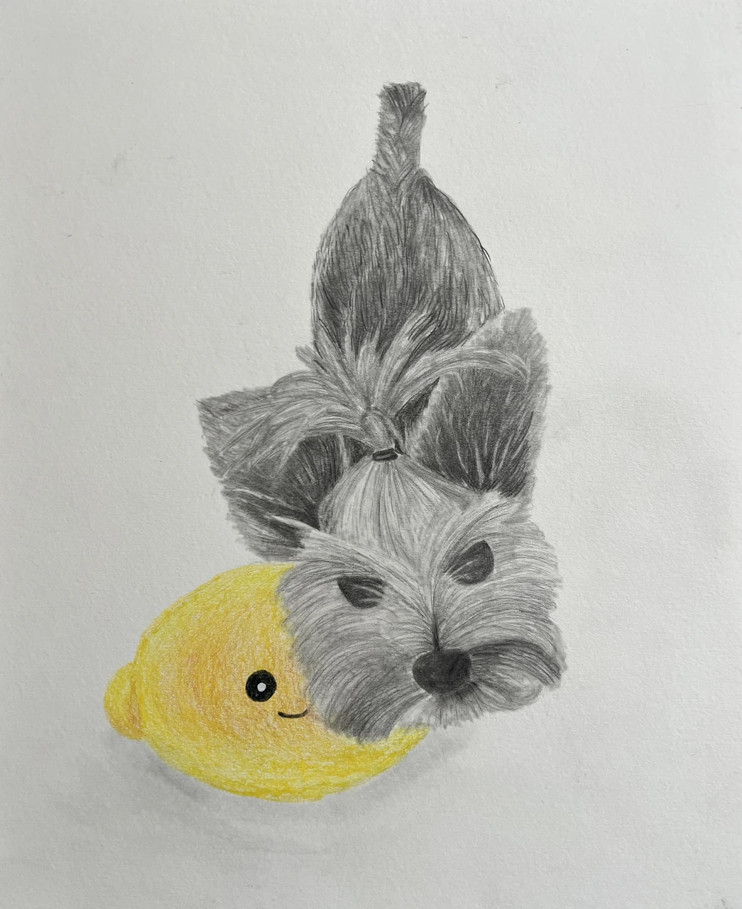 Dog Drawing