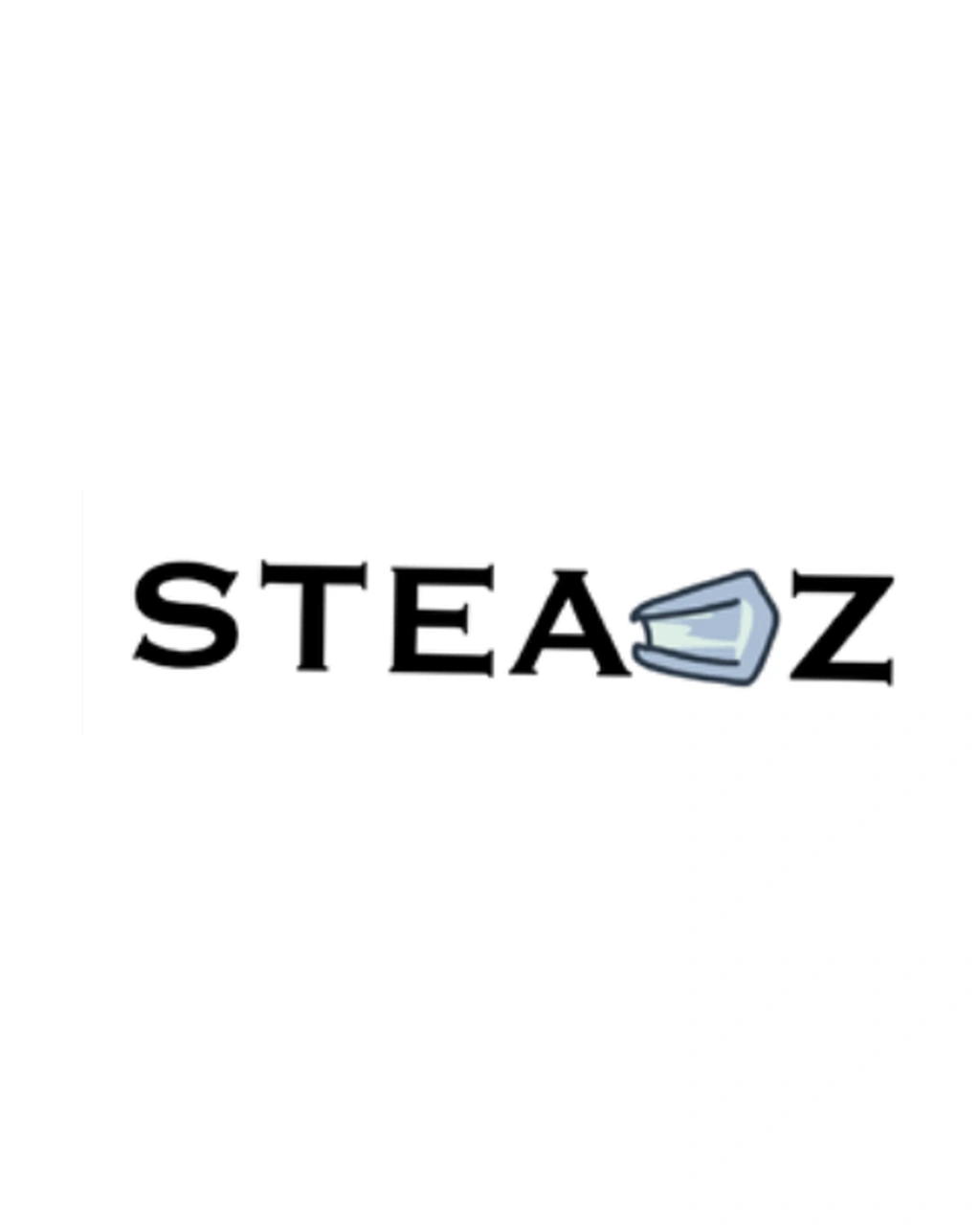 STEAMZ logo design