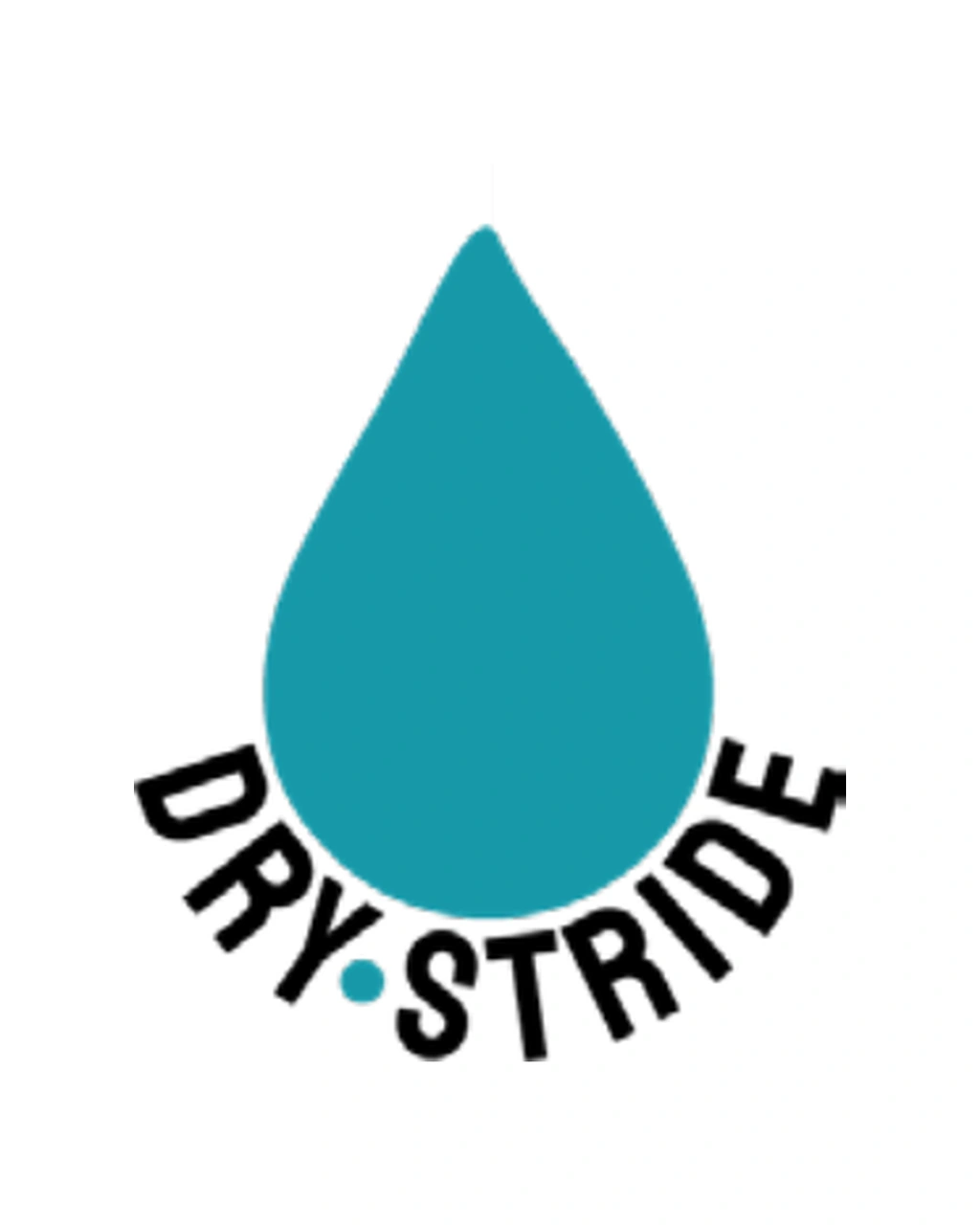 Dry Stride logo design
